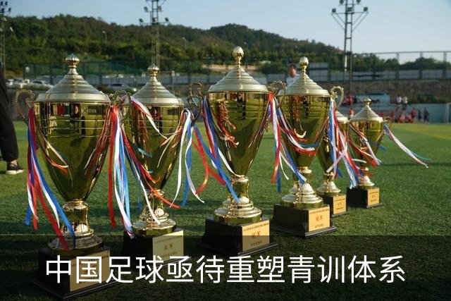 中国足球亟待重塑青训体系