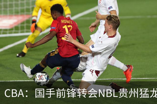 CBA：国手前锋转会NBL贵州猛龙，王少杰前往江苏男篮，吉林大将签约宁波，胡金秋预计留队